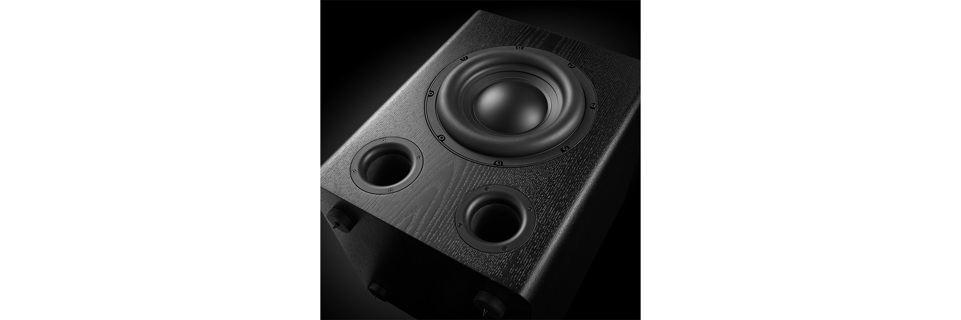 Bass-reflex design with dual front-firing ports